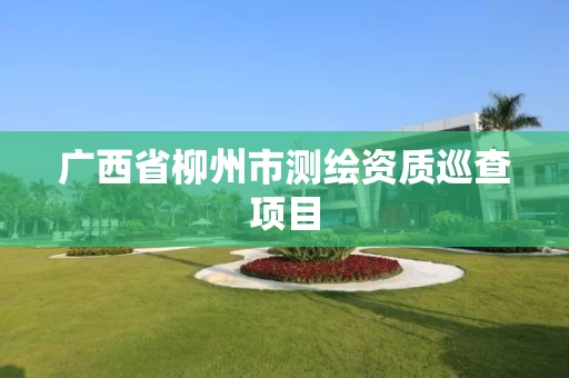 广西省柳州市测绘资质巡查项目