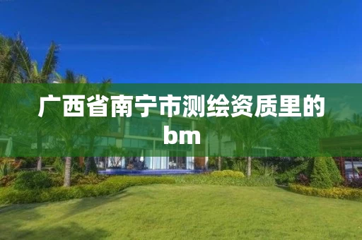 广西省南宁市测绘资质里的bm