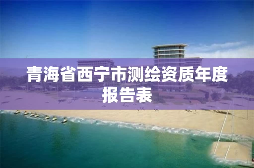 青海省西宁市测绘资质年度报告表