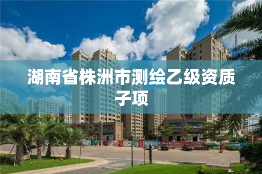 湖南省株洲市测绘乙级资质子项