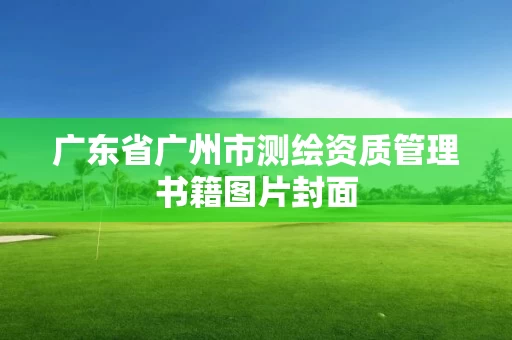 广东省广州市测绘资质管理书籍图片封面