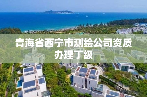 青海省西宁市测绘公司资质办理丁级