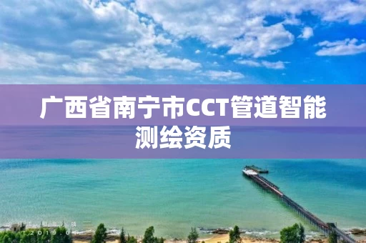 广西省南宁市CCT管道智能测绘资质