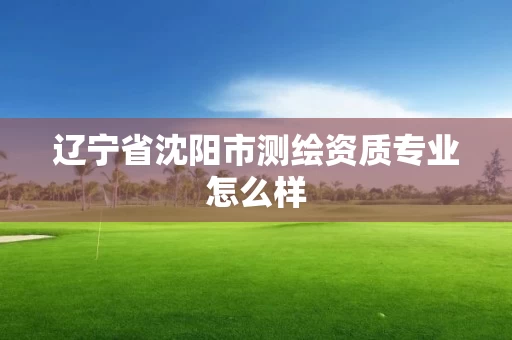 辽宁省沈阳市测绘资质专业怎么样