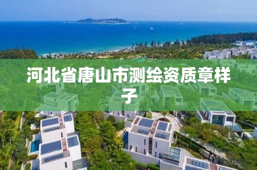 河北省唐山市测绘资质章样子 河北省唐山市测绘资质章样子