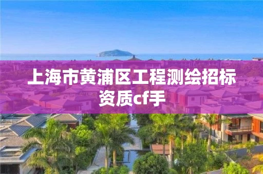 上海市黄浦区工程测绘招标资质cf手