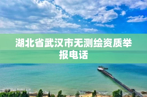 湖北省武汉市无测绘资质举报电话