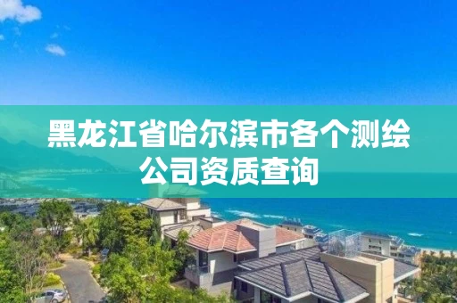 黑龙江省哈尔滨市各个测绘公司资质查询 黑龙江省哈尔滨市各个测绘公司资质查询