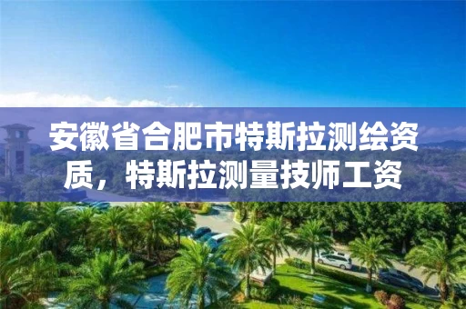 安徽省合肥市特斯拉测绘资质，特斯拉测量技师工资