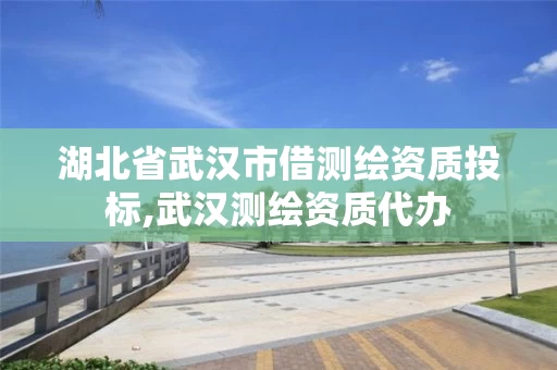 湖北省武汉市借测绘资质投标,武汉测绘资质代办