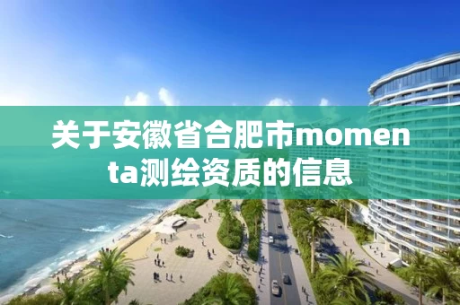 关于安徽省合肥市momenta测绘资质的信息