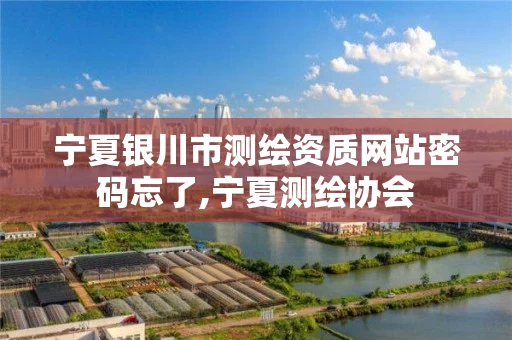 宁夏银川市测绘资质网站密码忘了,宁夏测绘协会