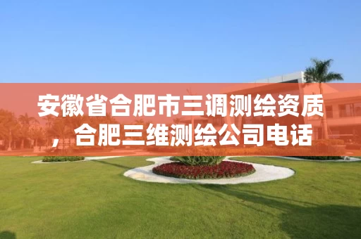 安徽省合肥市三调测绘资质，合肥三维测绘公司电话