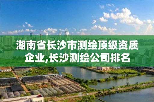 湖南省长沙市测绘顶级资质企业,长沙测绘公司排名
