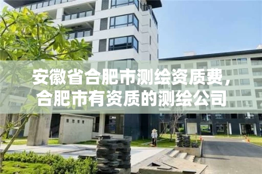 安徽省合肥市测绘资质费，合肥市有资质的测绘公司