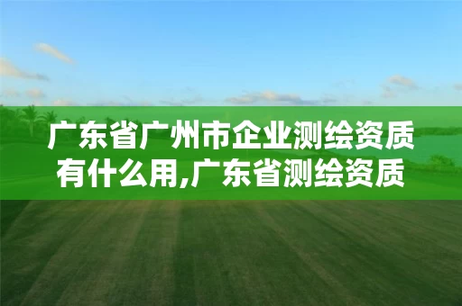 广东省广州市企业测绘资质有什么用,广东省测绘资质办理流程。