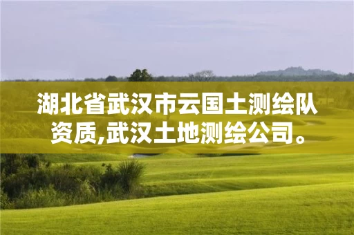 湖北省武汉市云国土测绘队资质,武汉土地测绘公司。