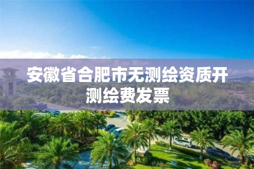安徽省合肥市无测绘资质开测绘费发票