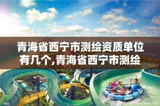 青海省西宁市测绘资质单位有几个,青海省西宁市测绘资质单位有几个名单。