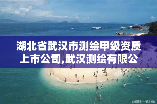 湖北省武汉市测绘甲级资质上市公司,武汉测绘有限公司。
