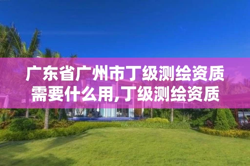 广东省广州市丁级测绘资质需要什么用,丁级测绘资质能承担的业务。