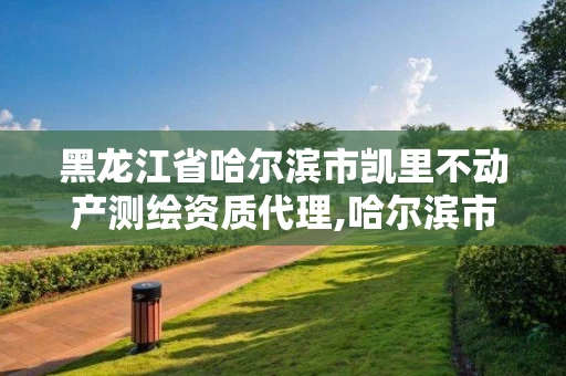 黑龙江省哈尔滨市凯里不动产测绘资质代理,哈尔滨市测绘院。