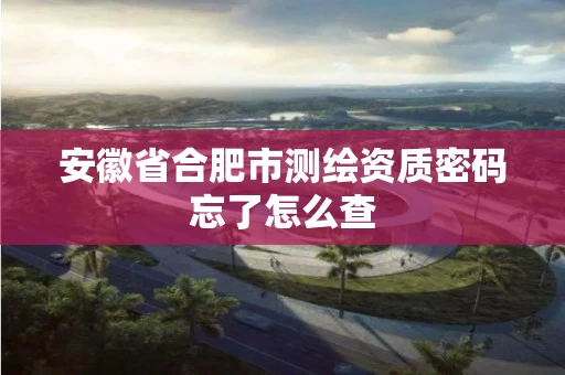 安徽省合肥市测绘资质密码忘了怎么查