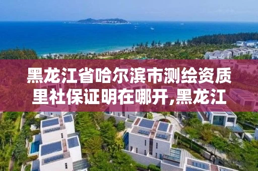 黑龙江省哈尔滨市测绘资质里社保证明在哪开,黑龙江省哈尔滨市测绘局。
