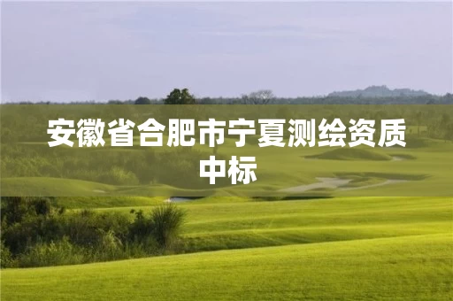 安徽省合肥市宁夏测绘资质中标