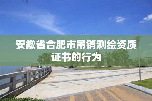 安徽省合肥市吊销测绘资质证书的行为 安徽省合肥市吊销测绘资质证书的行为