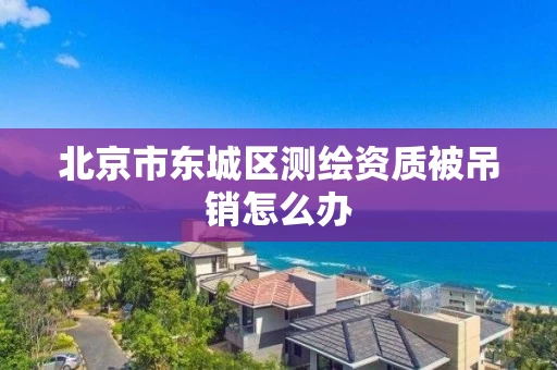 北京市东城区测绘资质被吊销怎么办