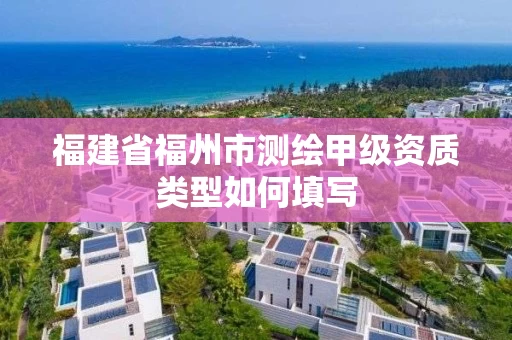 福建省福州市测绘甲级资质类型如何填写