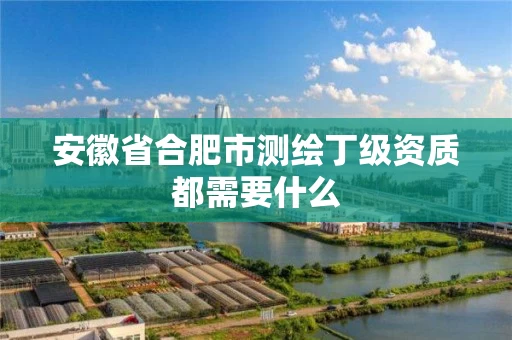 安徽省合肥市测绘丁级资质都需要什么