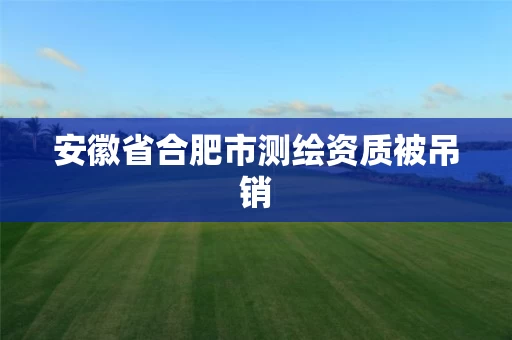 安徽省合肥市测绘资质被吊销