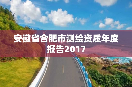安徽省合肥市测绘资质年度报告2017