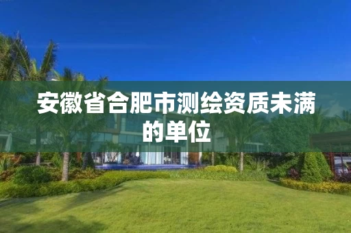 安徽省合肥市测绘资质未满的单位