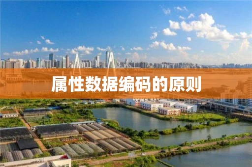 属性数据编码的原则