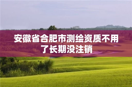 安徽省合肥市测绘资质不用了长期没注销