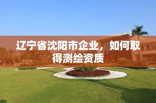 辽宁省沈阳市企业，如何取得测绘资质