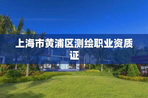 上海市黄浦区测绘职业资质证