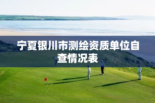 宁夏银川市测绘资质单位自查情况表