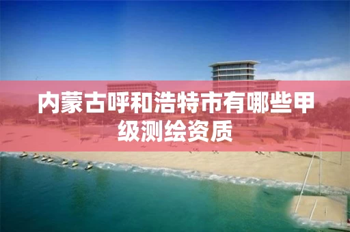 内蒙古呼和浩特市有哪些甲级测绘资质
