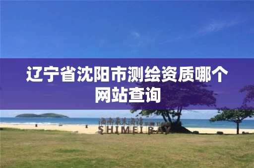 辽宁省沈阳市测绘资质哪个网站查询