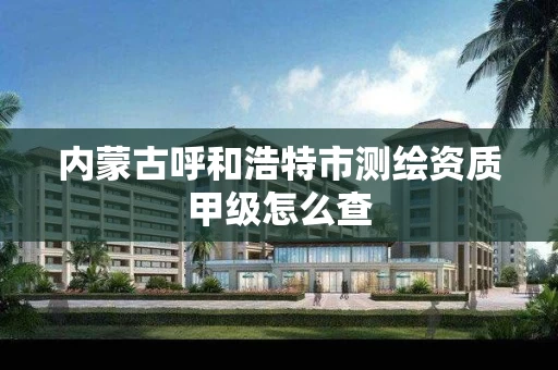 内蒙古呼和浩特市测绘资质甲级怎么查