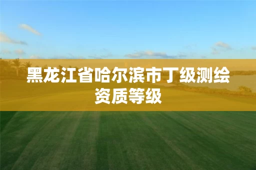 黑龙江省哈尔滨市丁级测绘资质等级