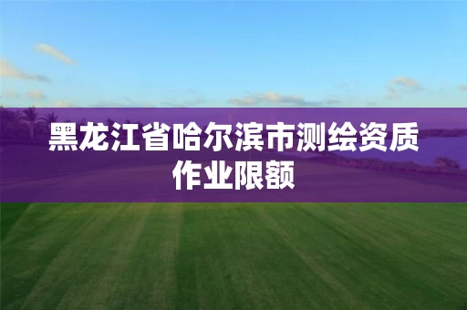 黑龙江省哈尔滨市测绘资质作业限额