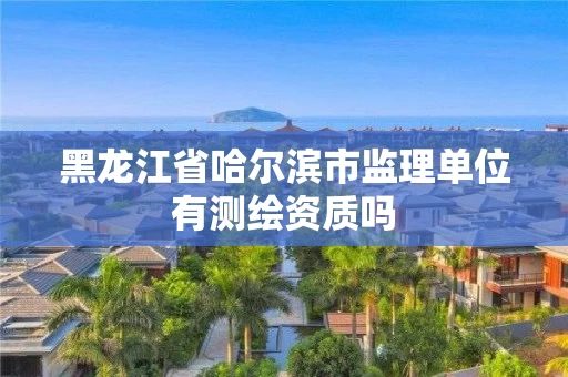 黑龙江省哈尔滨市监理单位有测绘资质吗