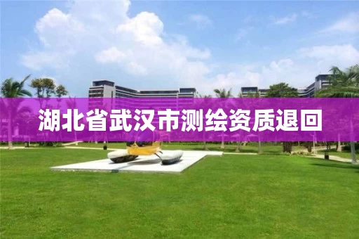 湖北省武汉市测绘资质退回