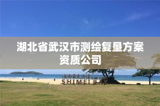 湖北省武汉市测绘复垦方案资质公司