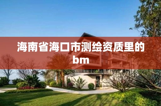 海南省海口市测绘资质里的bm 海南省海口市测绘资质里的bm